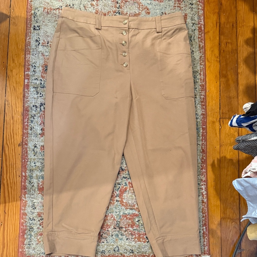 Express Tan Dress Pants with Button Details